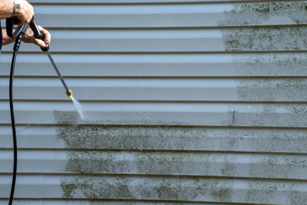 Best Stucco Siding  in Shelby, MS